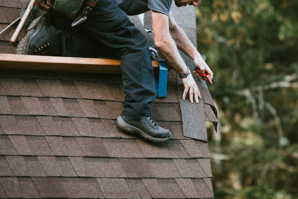 Best Metal Roofing Contractor  in Albany, OR